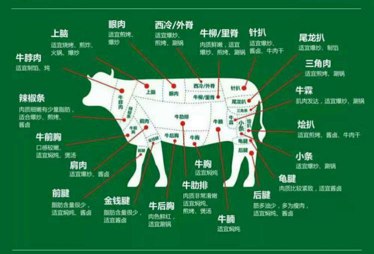 干饭人必看关于牛肉那些你不知道的事