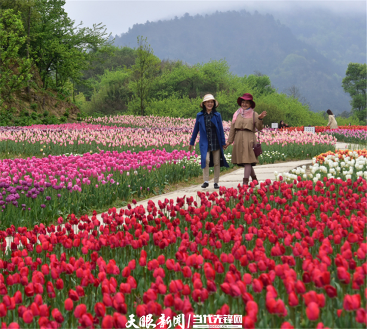 贵州贵定:四季花谷花正艳