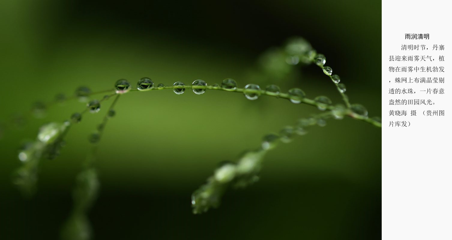 贵州图片库 32|春风春雨花经眼