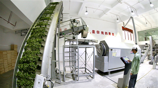 5,国内最先进的全自动化茶叶生产线.png
